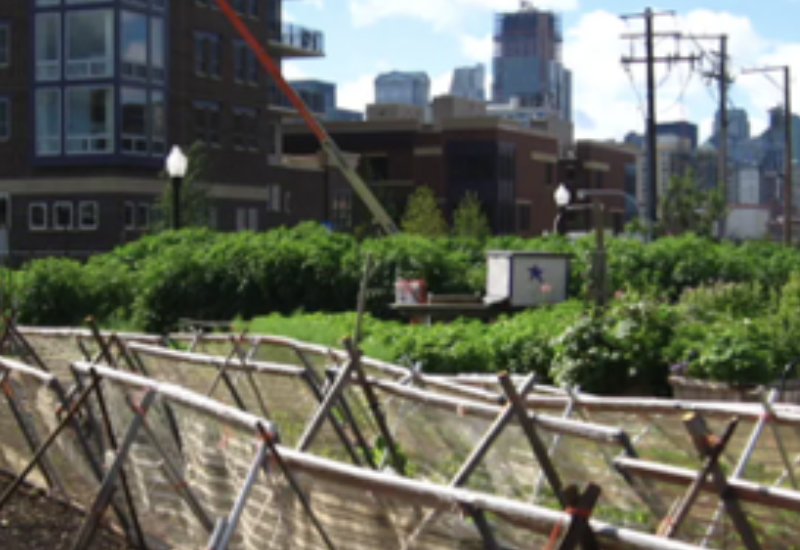 HOW URBAN AGRICULTURE CAN IMPROVE FOOD SECURITY IN U.S. CITIES