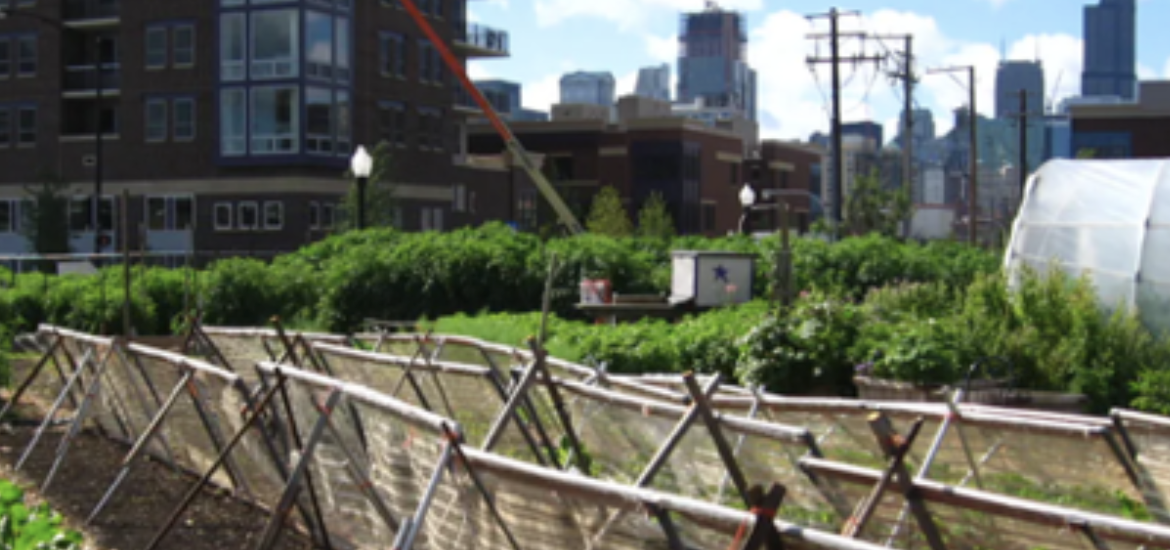 HOW URBAN AGRICULTURE CAN IMPROVE FOOD SECURITY IN U.S. CITIES
