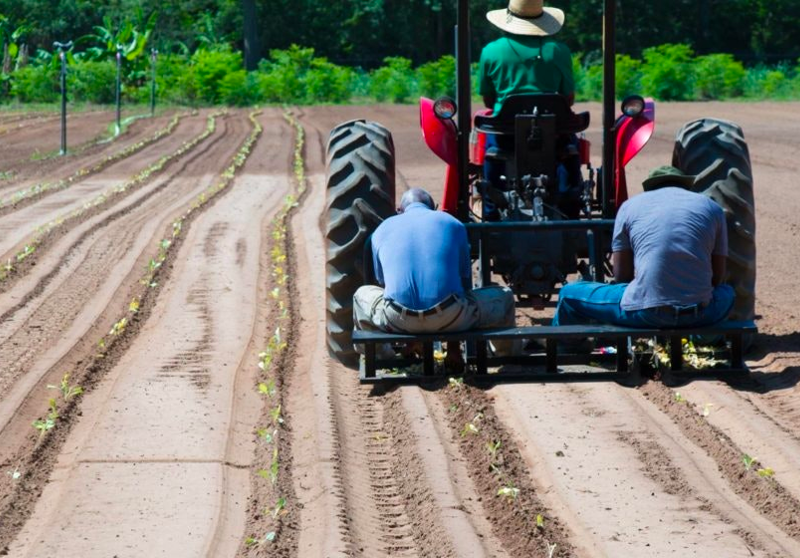 WE NEED MORE BLACK PEOPLE IN AGRICULTURE