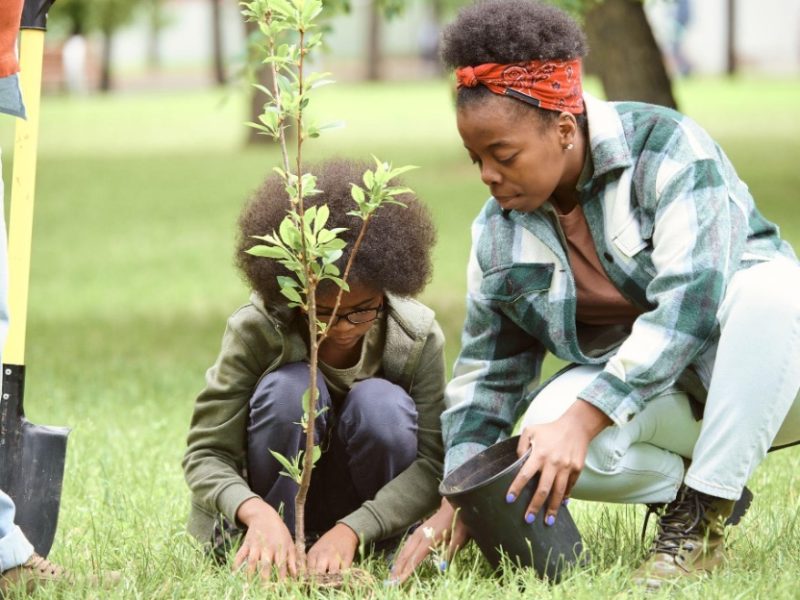 Elves on Wheels: Creating urban green spaces with Black farmers