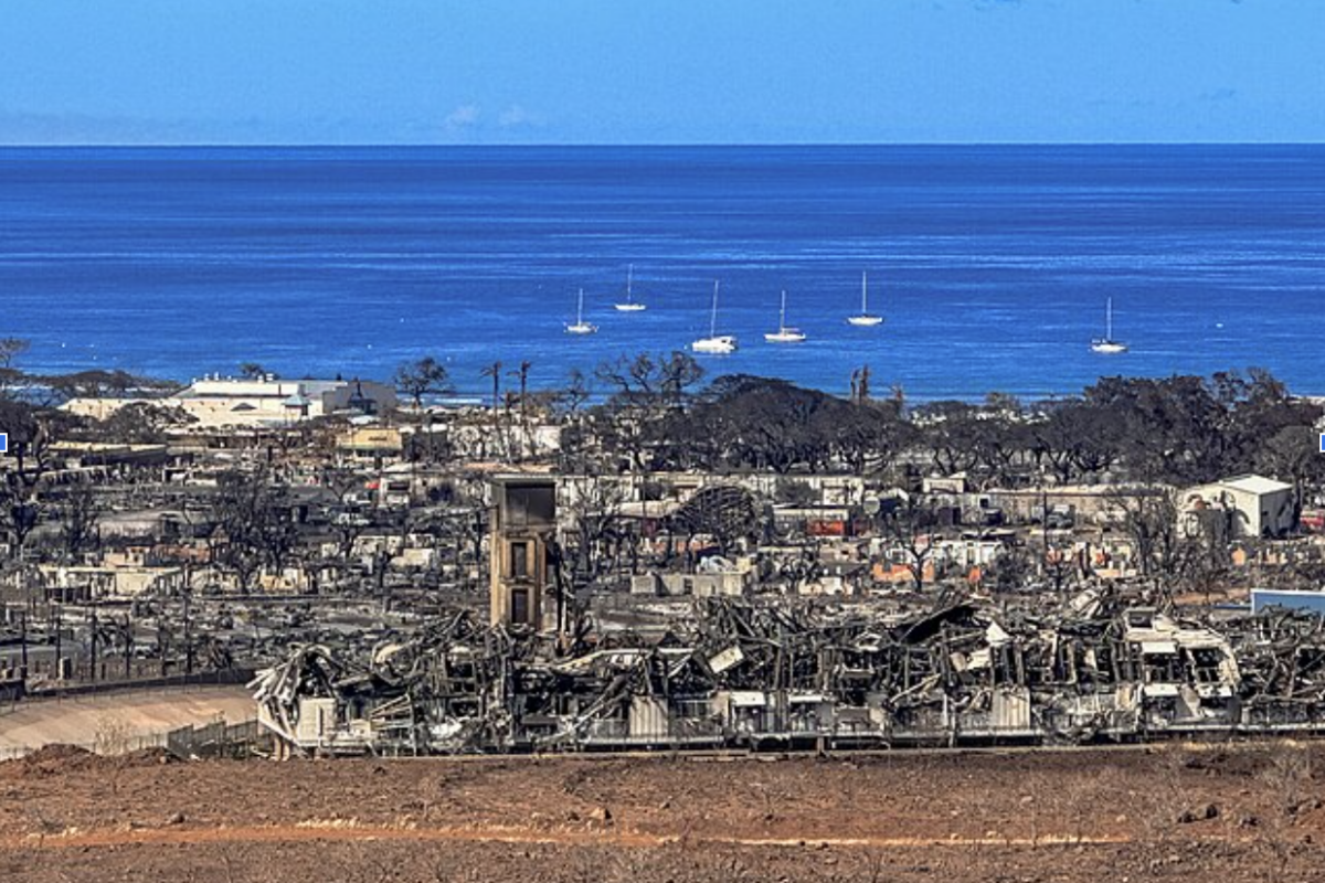 A Former Sugar Plantation Up in Flames: The Lahaina Wildfires