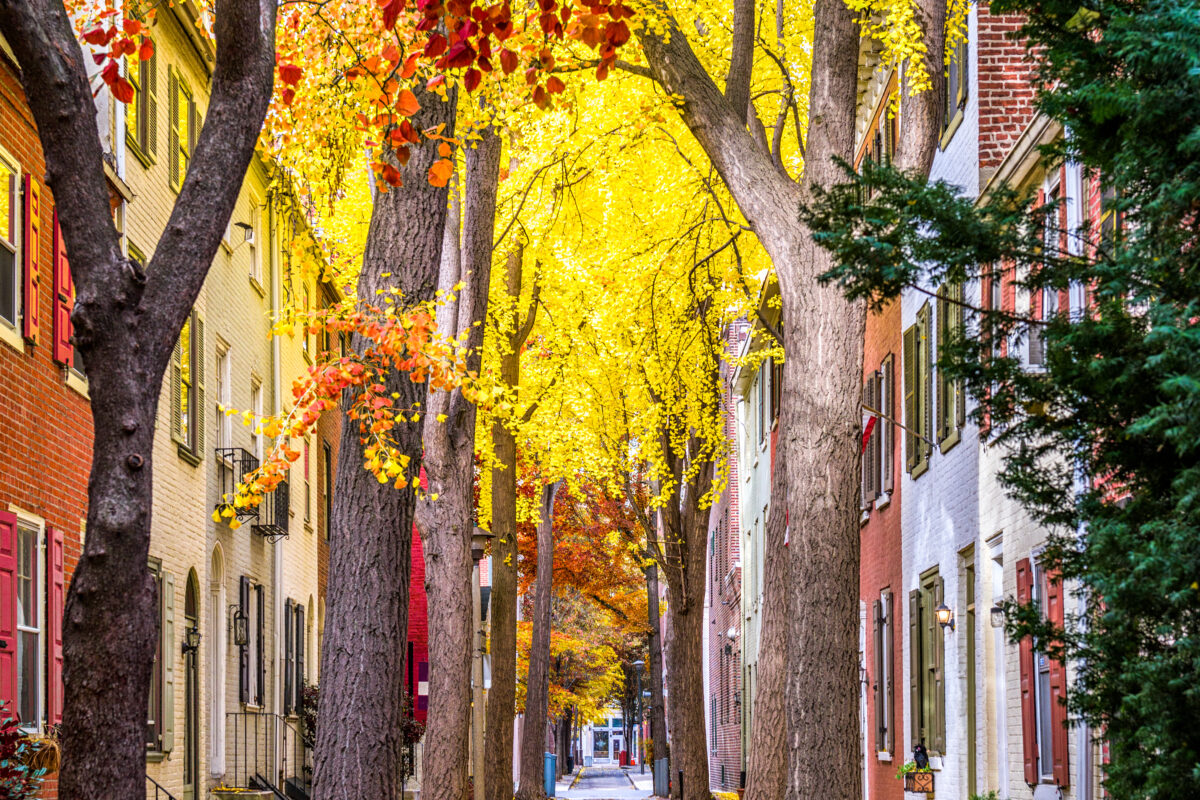 Beautification in Philadelphia