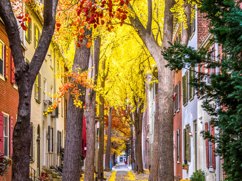 Beautification in Philadelphia