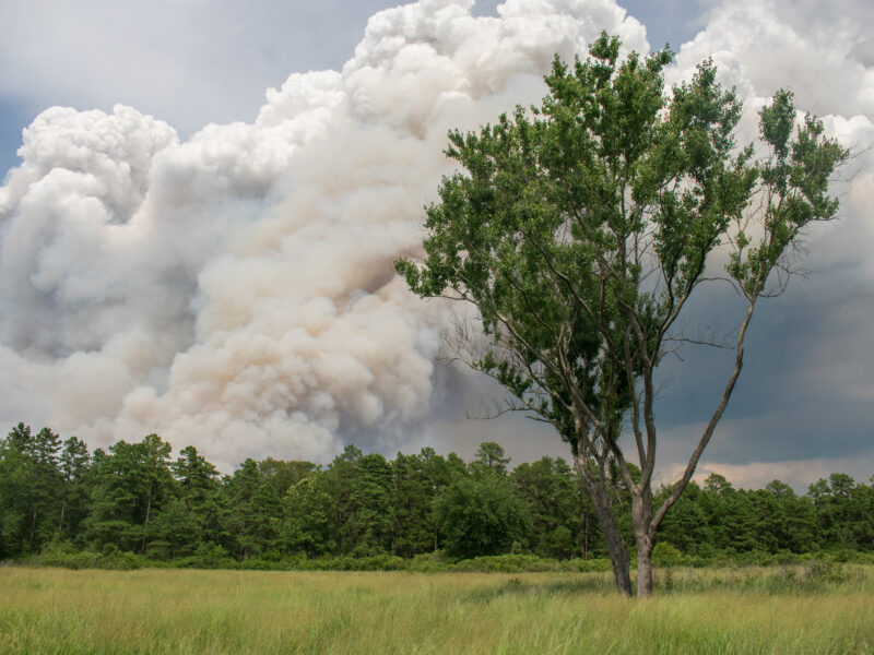 Philadelphia’s long dry-spell raises concerns