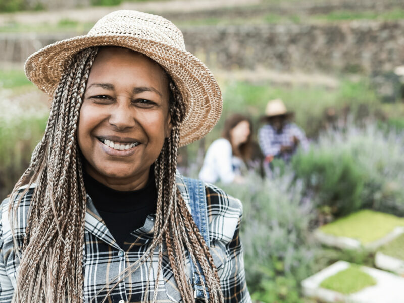 The unearthed legacy of Harriet Tubman and the “Aunties”